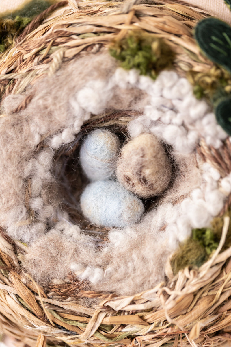 The Cowbird's Egg (in the House Finch's Nest)