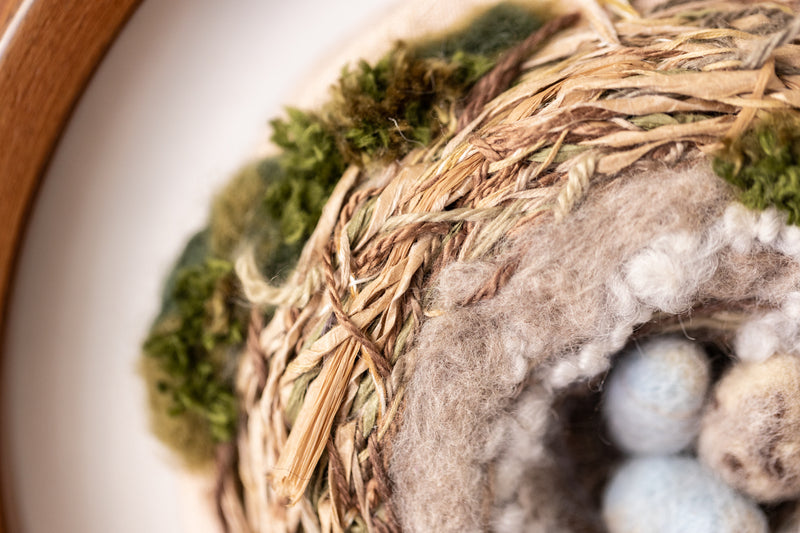 The Cowbird's Egg (in the House Finch's Nest)