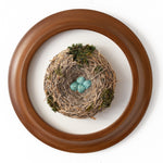 The Robin's Nest