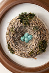 The Robin's Nest
