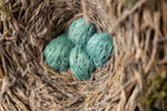 The Robin's Nest