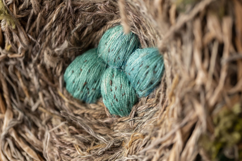 The Robin's Nest