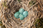 The Robin's Nest