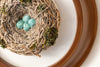 The Robin's Nest
