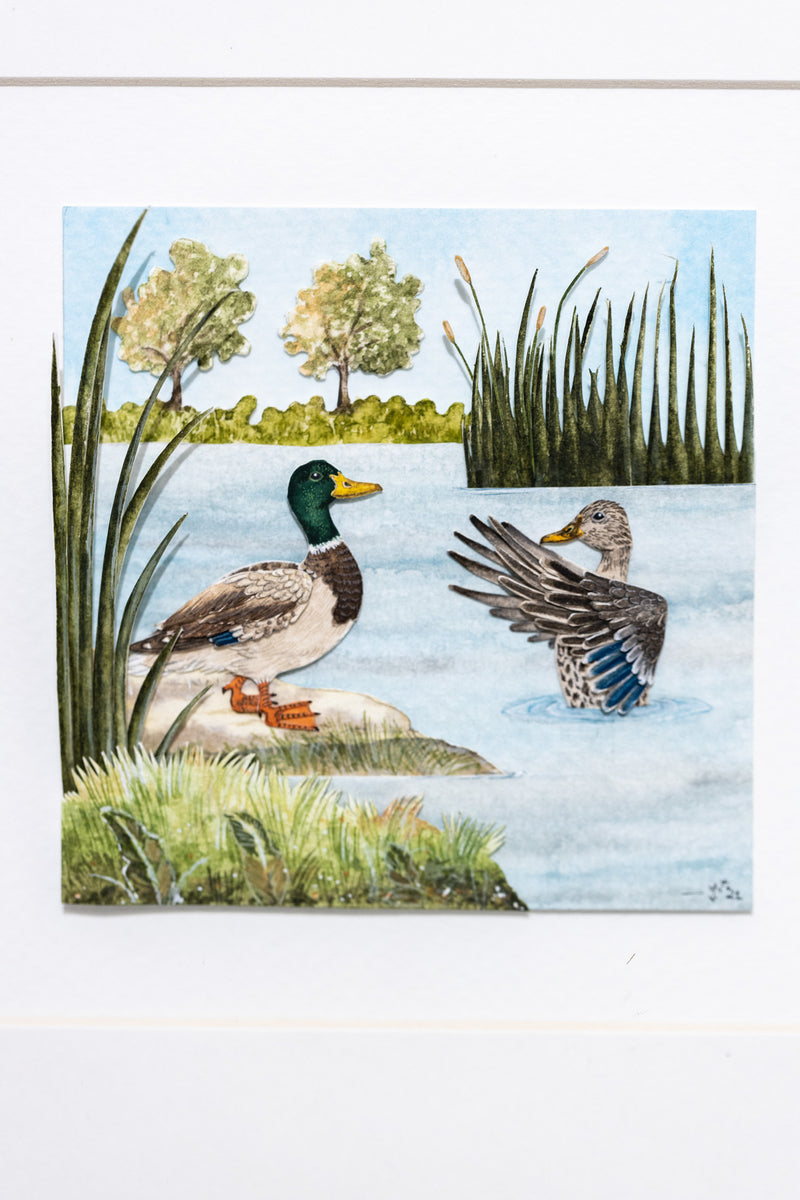 Mallard duck couple diorama