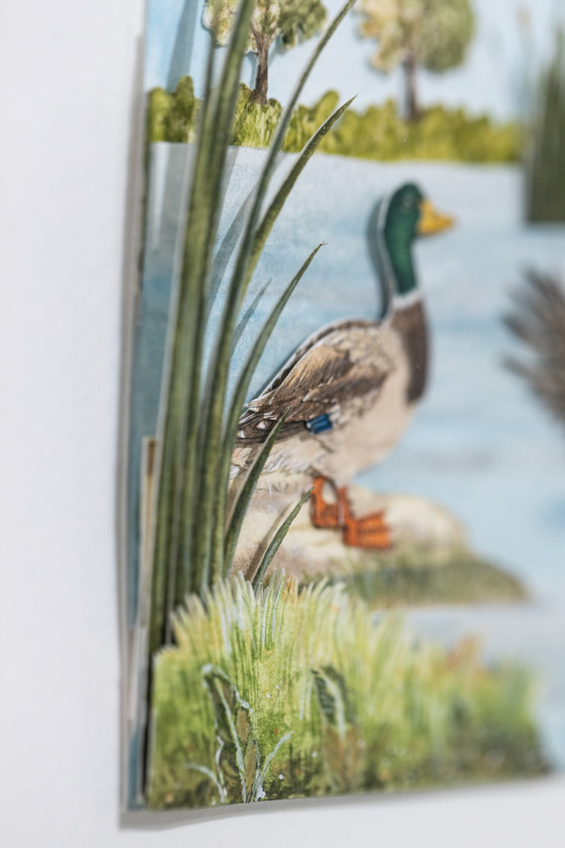Mallard duck couple diorama