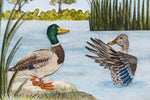 Mallard duck couple diorama