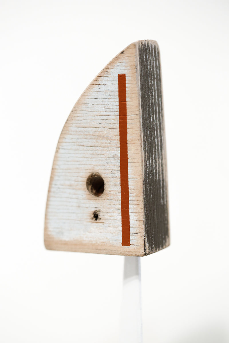 Modus Volito Rusticus 58