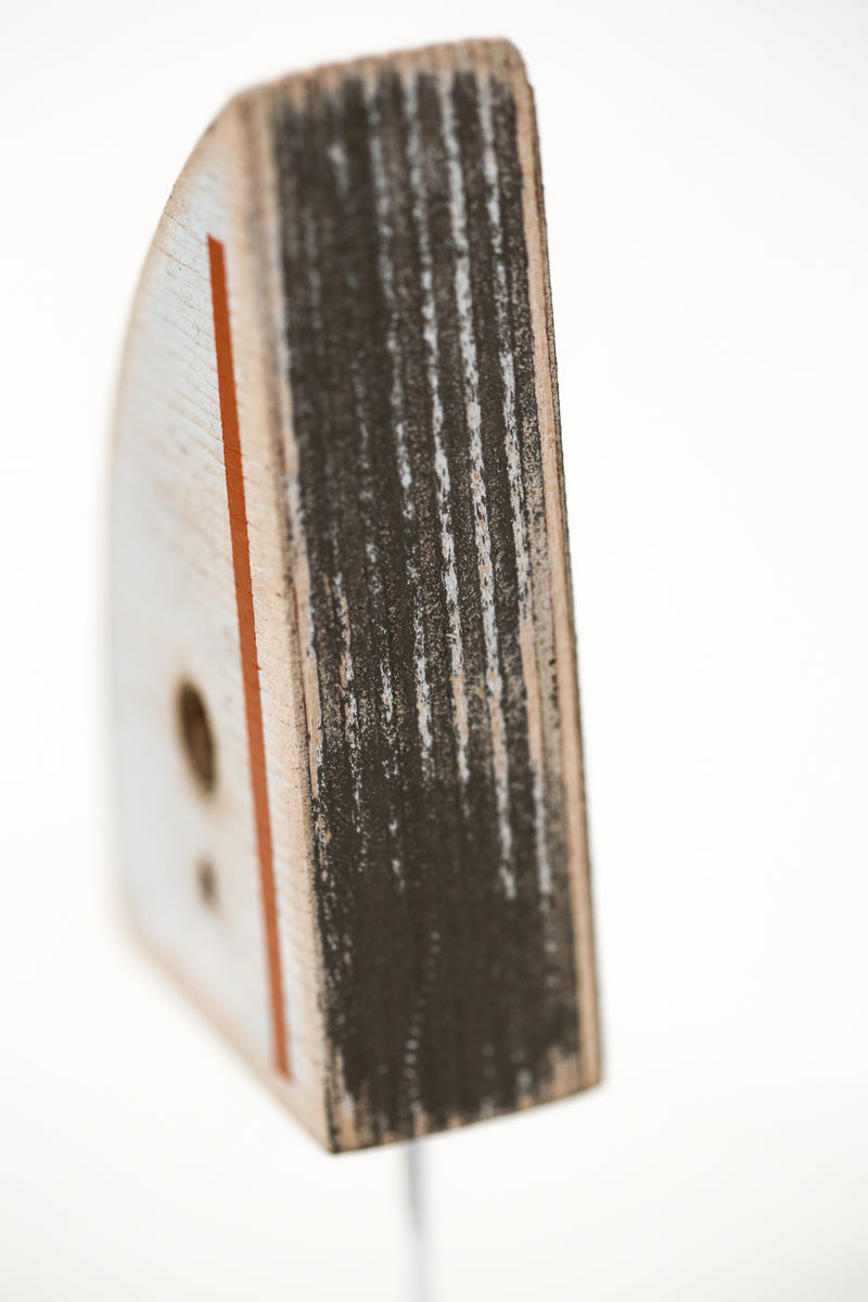 Modus Volito Rusticus 58