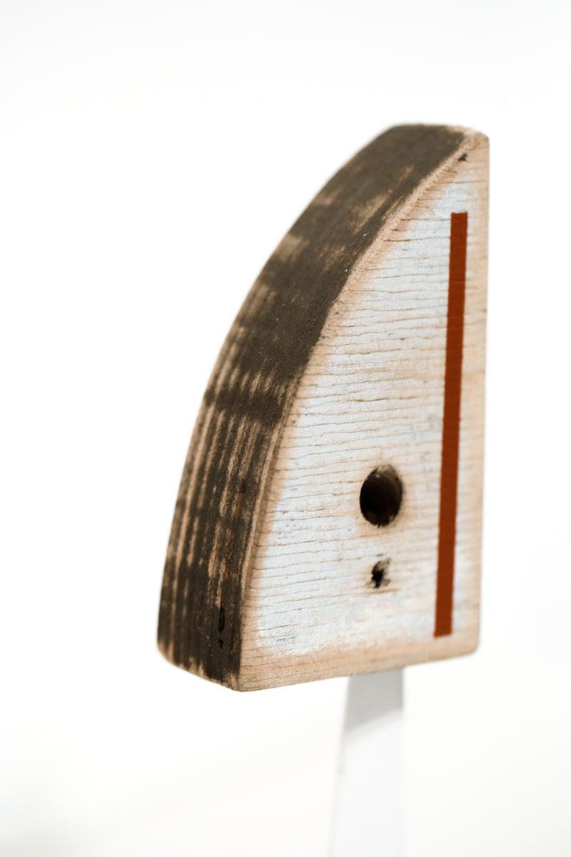 Modus Volito Rusticus 58