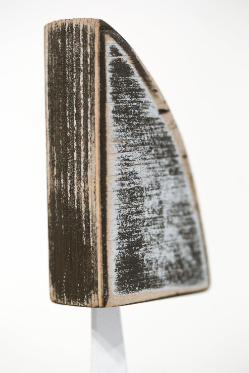 Modus Volito Rusticus 58