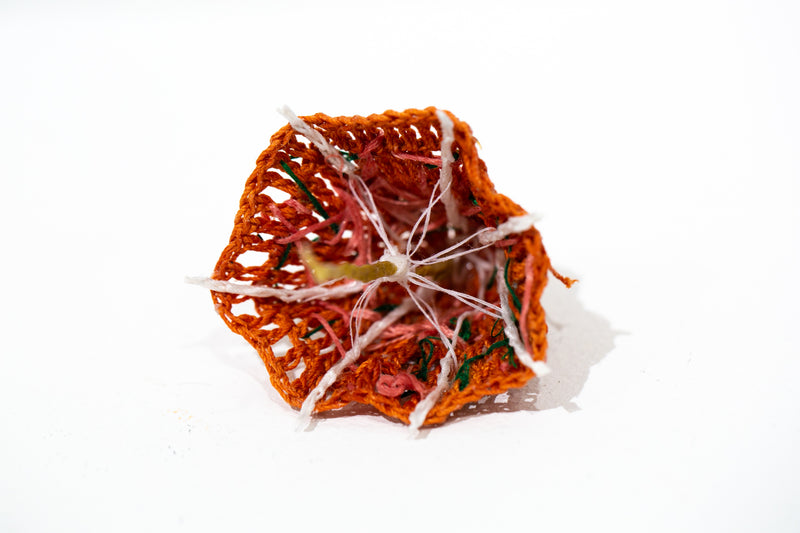 Clementine Umbrella