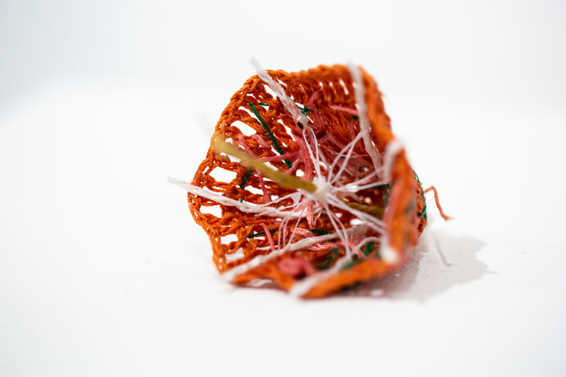 Clementine Umbrella