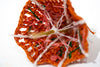 Clementine Umbrella