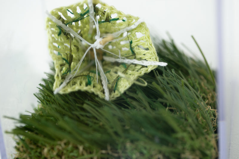 Lemongrass Umbrella