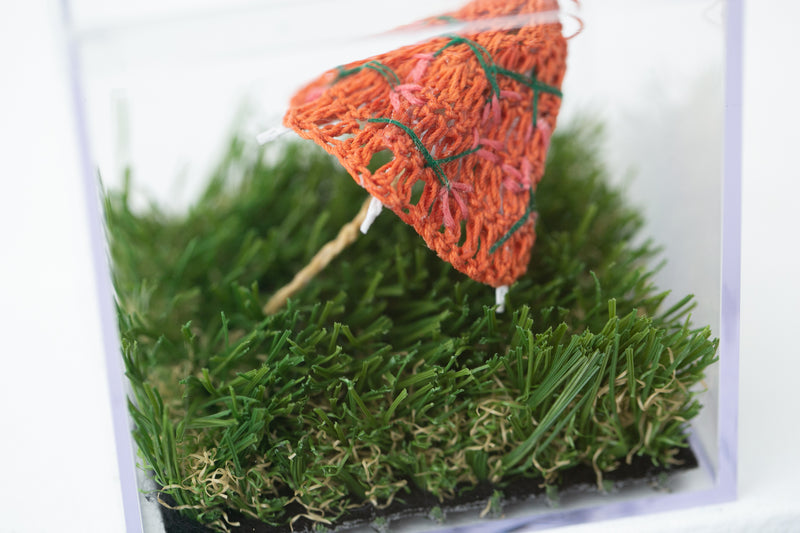 Clementine Umbrella