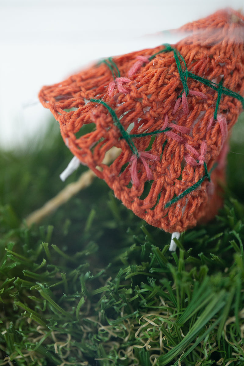 Clementine Umbrella