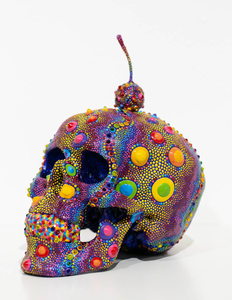 Candy Urchin Skull