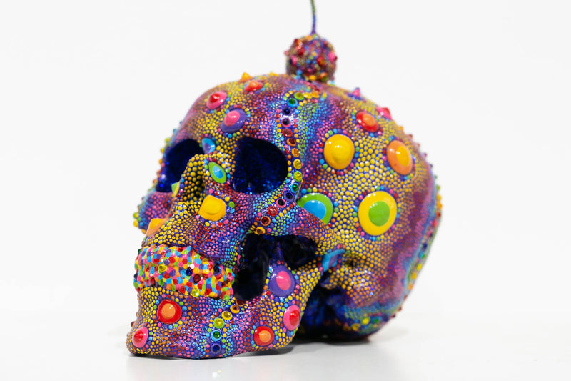 Candy Urchin Skull