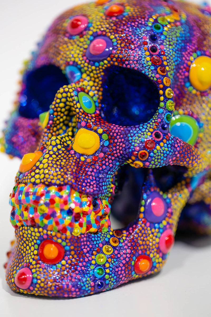 Candy Urchin Skull