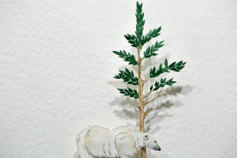 Polar Bear