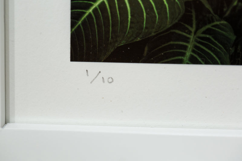 Void