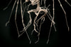 Night Glaive II