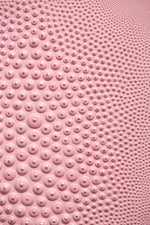 Nipple Ballet