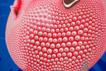Nipple Fugu