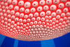 Nipple Fugu