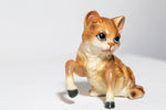 Horse Cat (Orange)