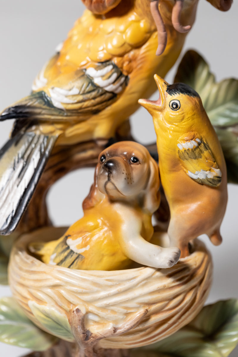 Oriole Spaniels