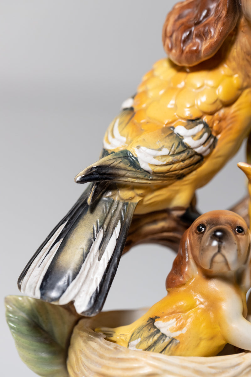 Oriole Spaniels