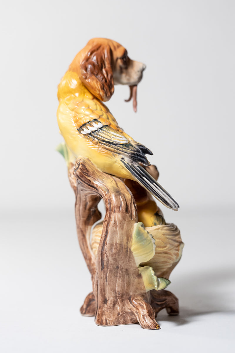 Oriole Spaniels