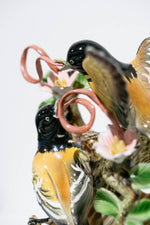 Ribbon-tongue Orioles
