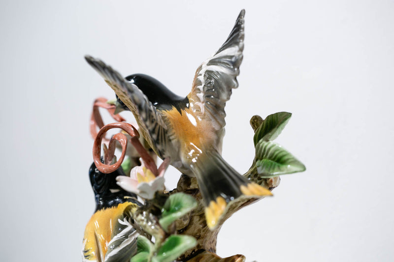 Ribbon-tongue Orioles
