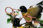 Ribbon-tongue Orioles