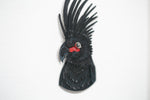 Palm Cockatoo Portrait