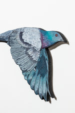 Pigeon III