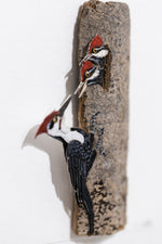 Pileated Woodpecker with chicks