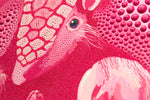 Pink Fairy Armadillo