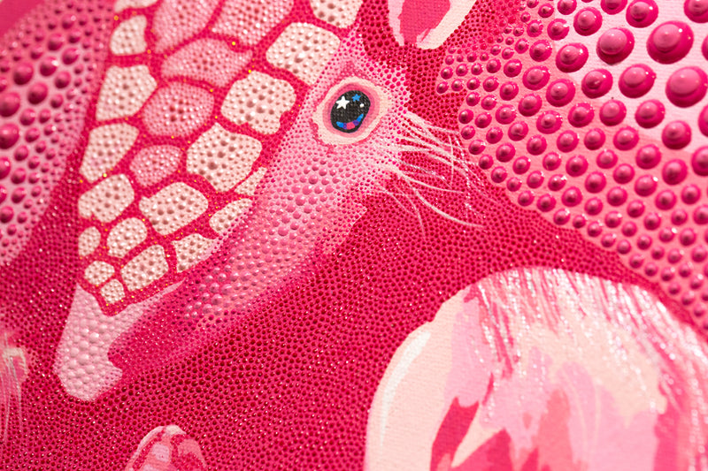 Pink Fairy Armadillo