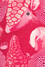 Pink Fairy Armadillo