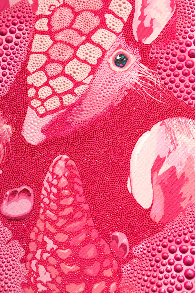 Pink Fairy Armadillo