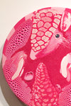 Pink Fairy Armadillo