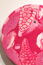 Pink Fairy Armadillo