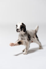 Pointer (Black & White)