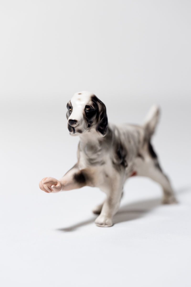 Pointer (Black & White)
