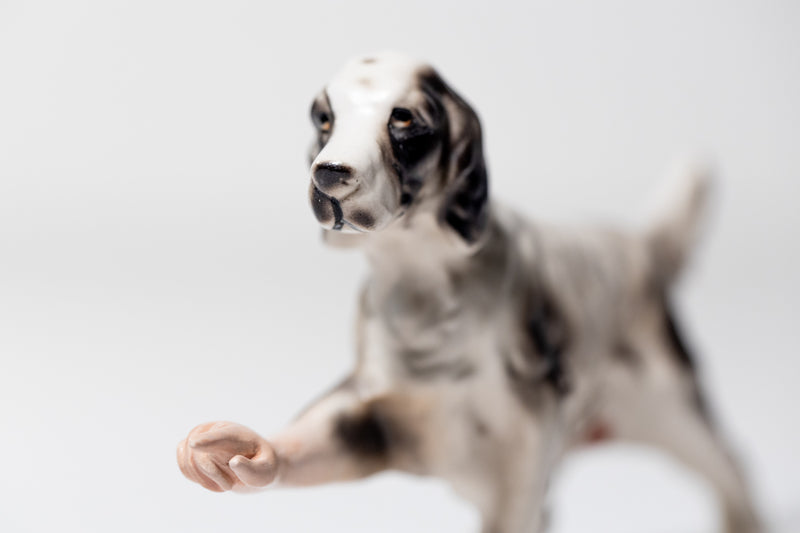 Pointer (Black & White)