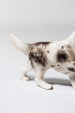 Pointer (Black & White)